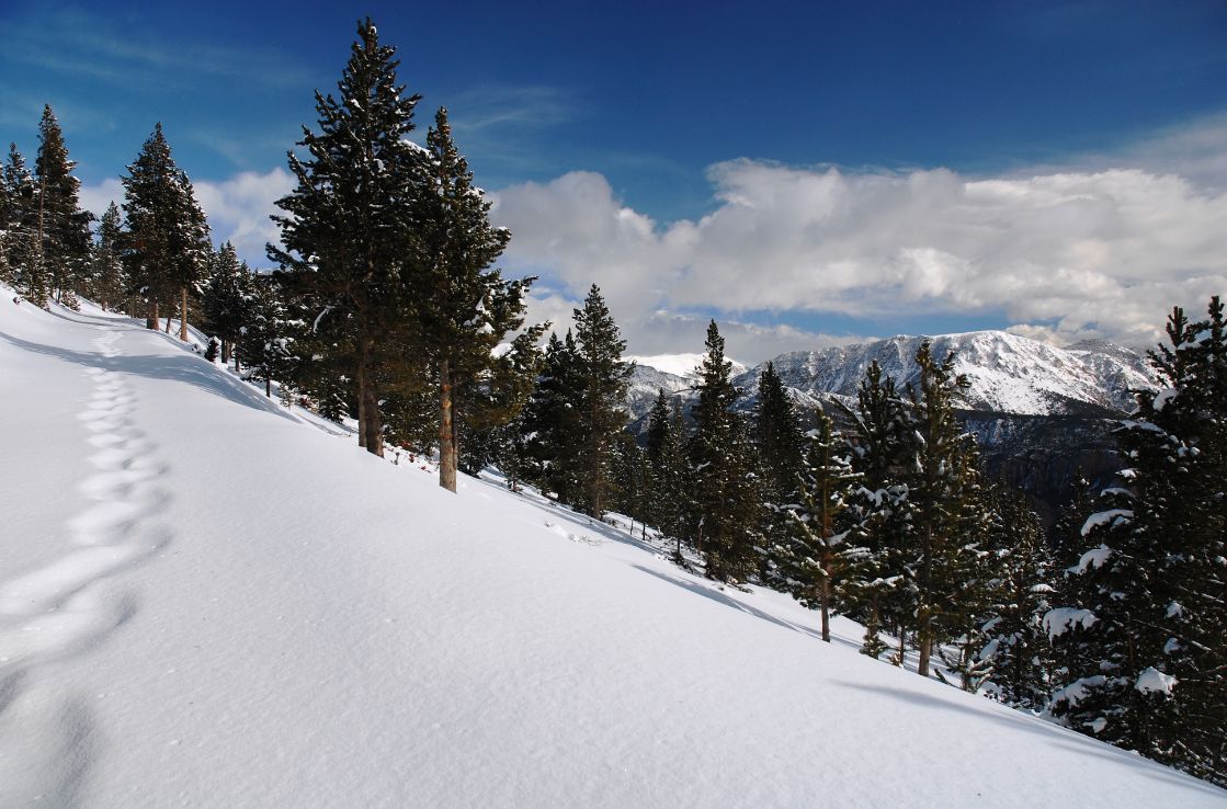 esquiar en los Pirineos españoles